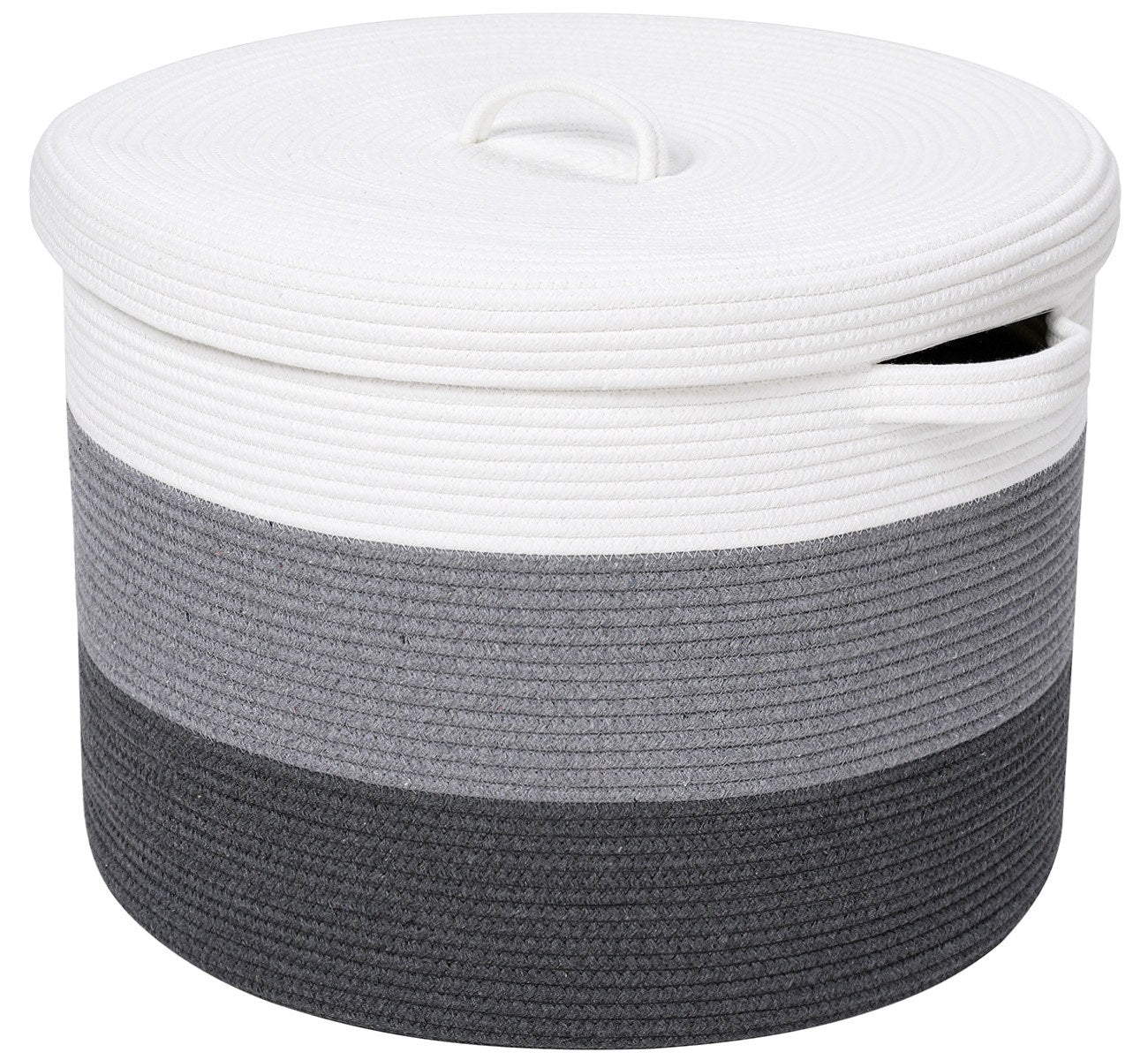 basket lid 3 — how it arrives and takes shape