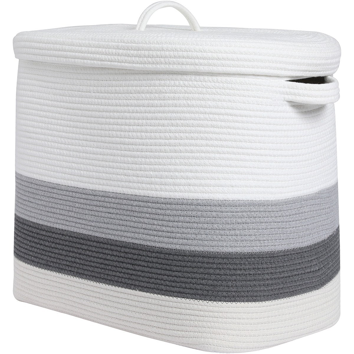 rect lid 3 — how it arrives and takes shape